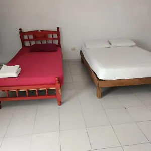 Gaviota , Playa del Carmen México